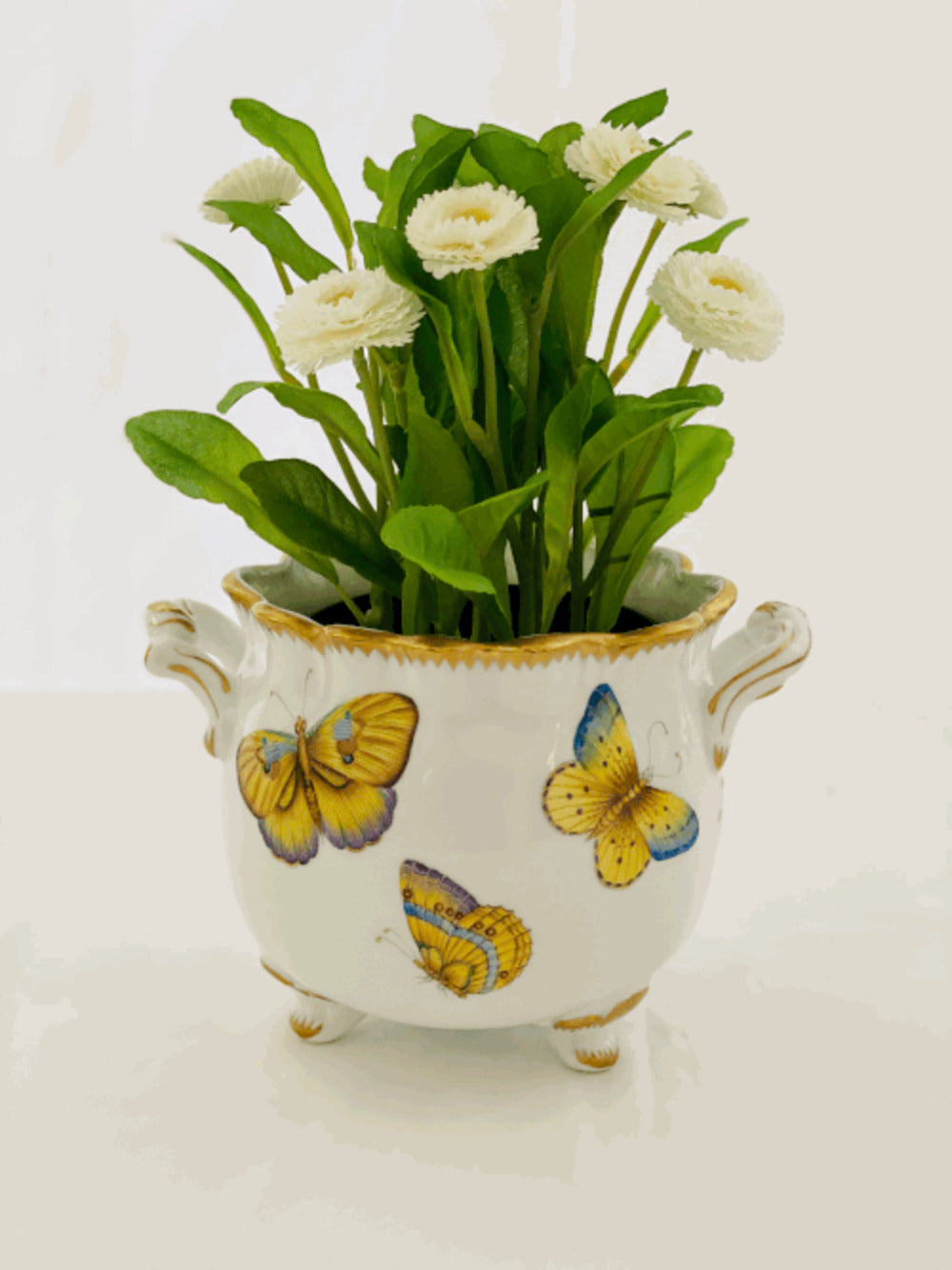 AF18 - Ruffled Cachepot by Anna Weatherley 1