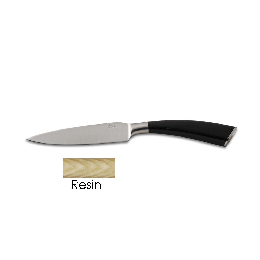 Big Steak Knife with Resin Handle by Saladini