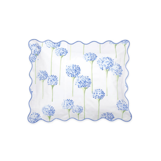 Charlotte Sham Azure Standard