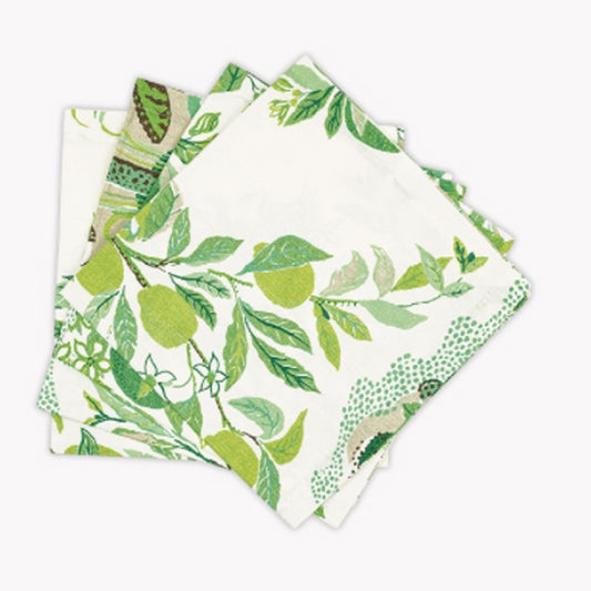 Citrus Garden Napkin (Set of 4) by Matouk