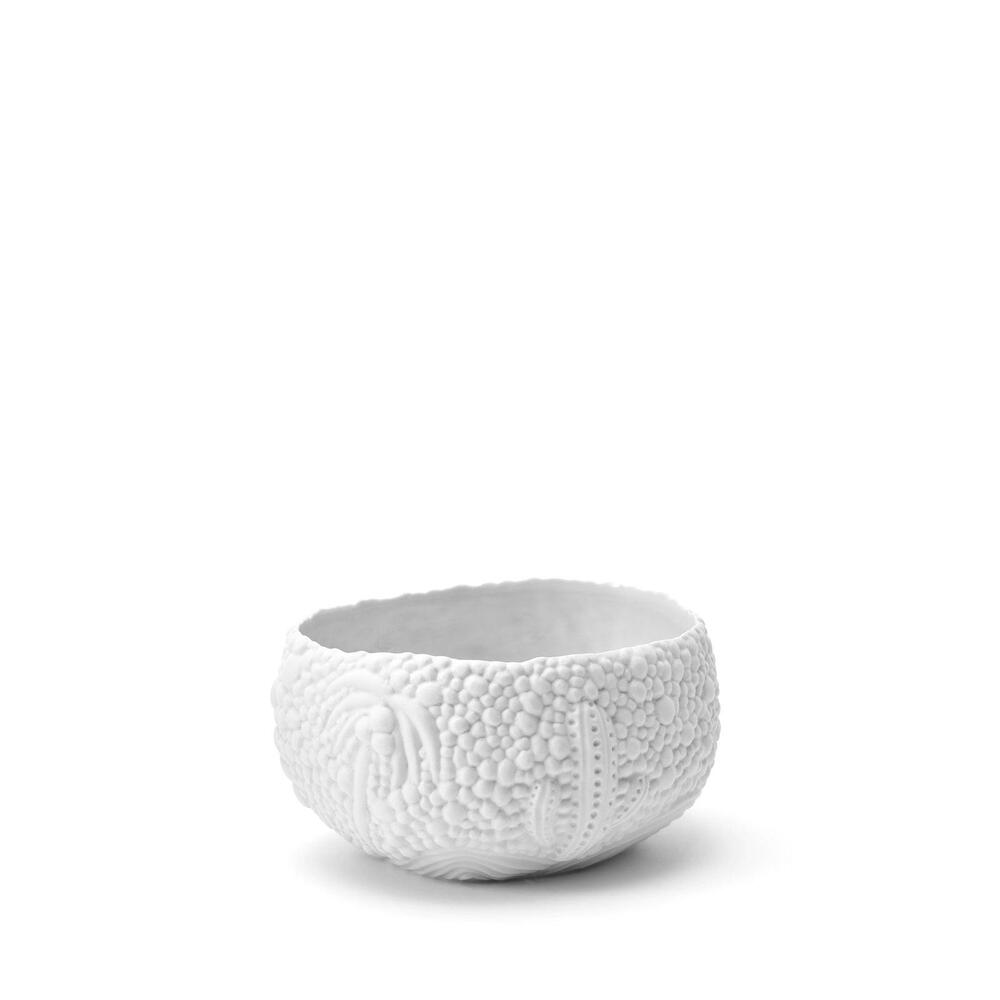 Haas Mojave Desert Bowl by L'Objet 23