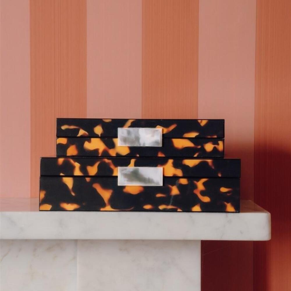 Large Tortoiseshell Box with Silver by Addison Ross 2