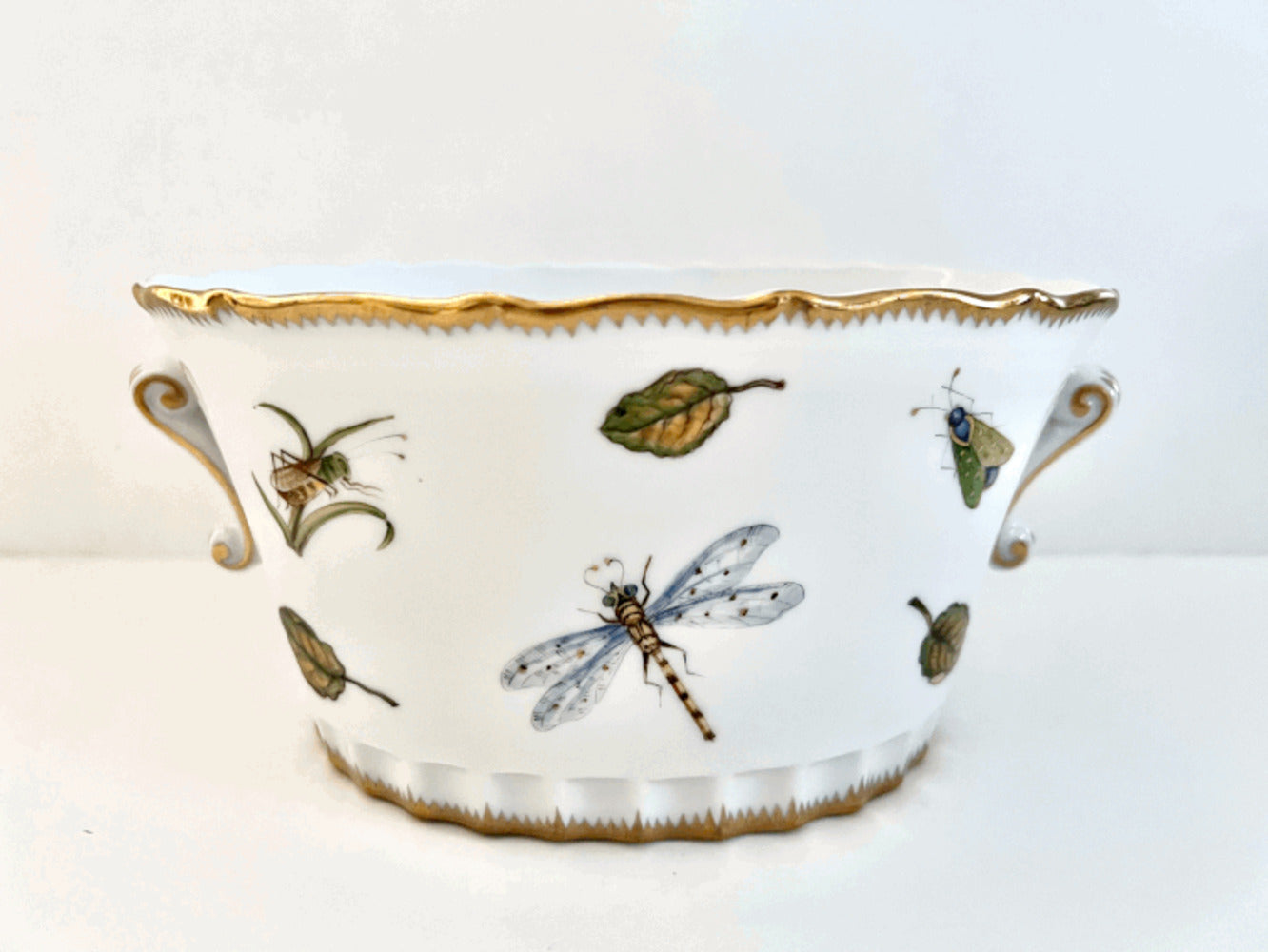LCP1 - Oval Cachepot by Anna Weatherley 1