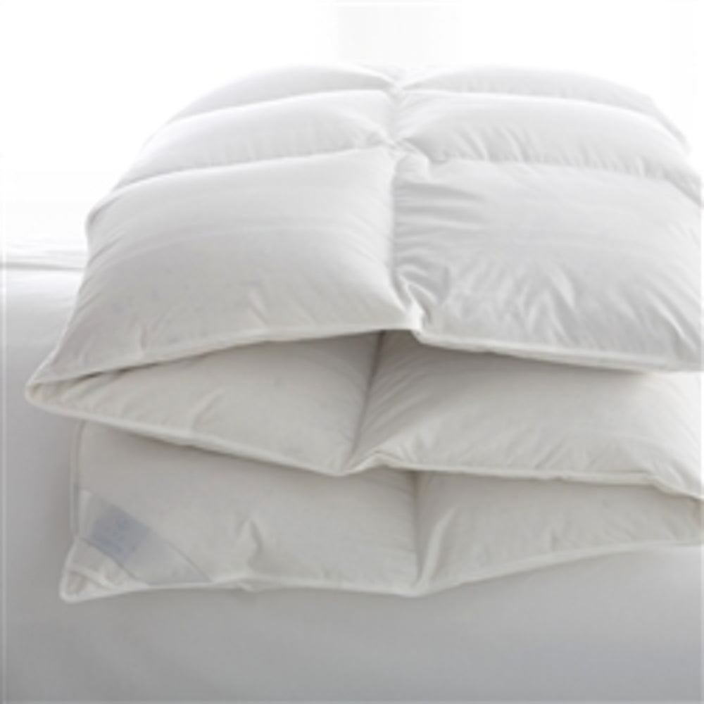 Lucerne Hungarian Medium Goose Down Qn Comforter by Scandia Home