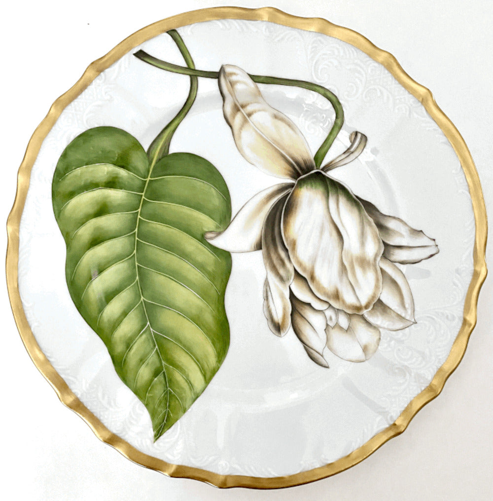 M191 - Magnolia Dinner Plate by Anna Weatherley