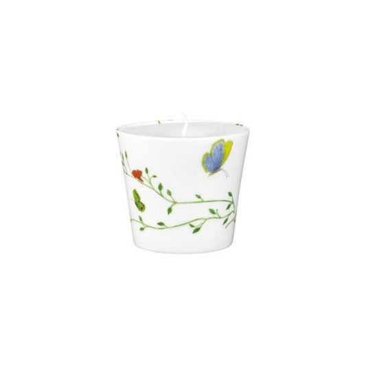 Natural History Candle by Raynaud