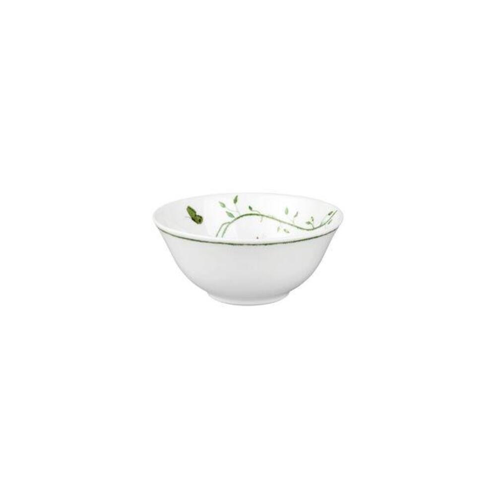 Natural History Rice Bowl by Raynaud