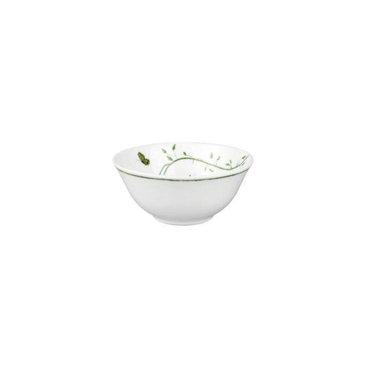 Natural History Rice Bowl by Raynaud