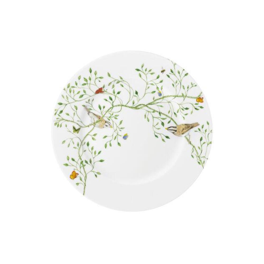 Natural History Salad Plate by Raynaud