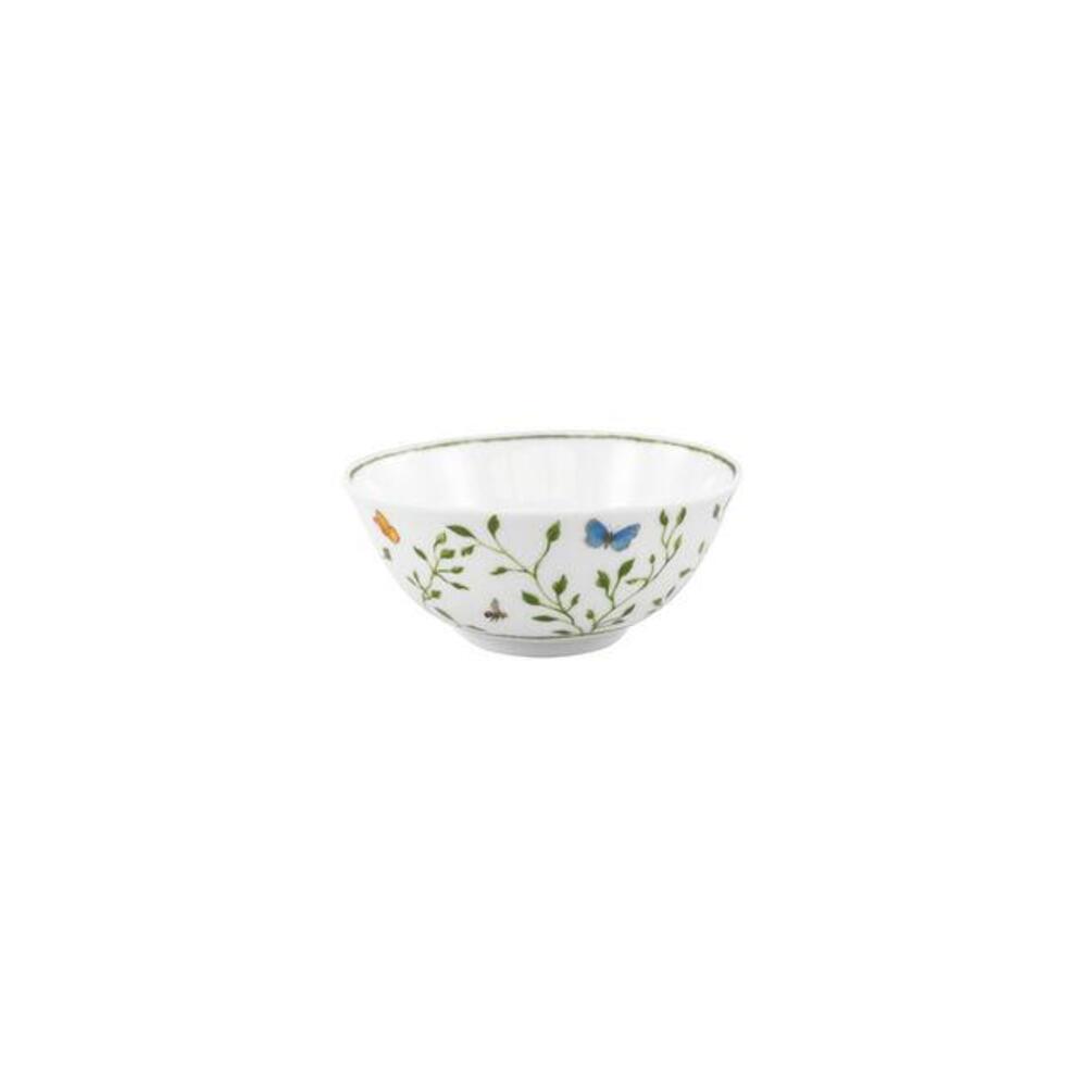 Natural History Soup Bowl by Raynaud