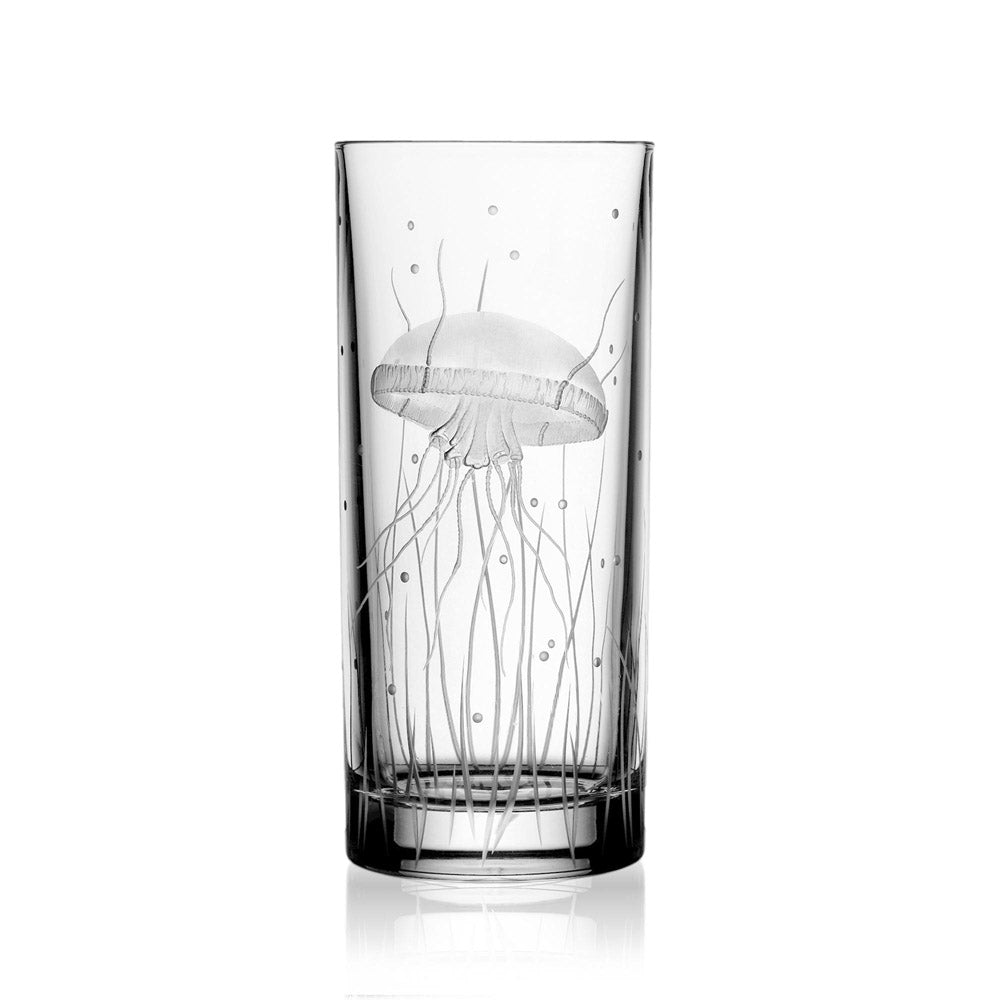 Pacifica Clear Highball by Varga Crystal