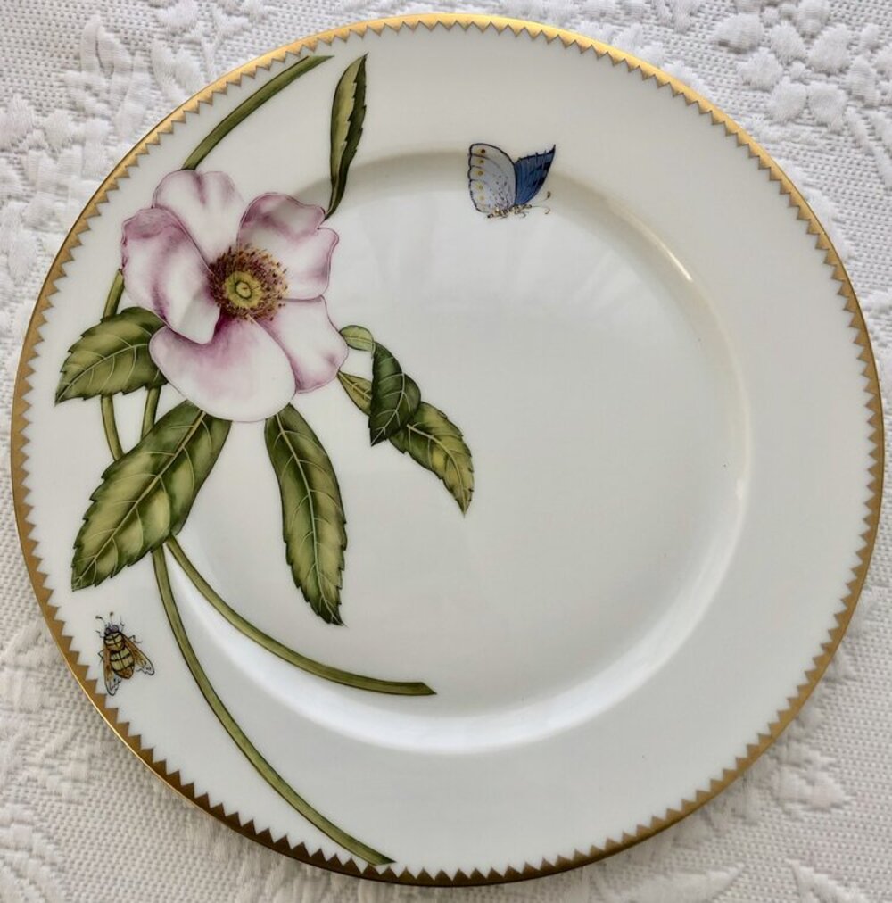 PE1 - Dinner Plate by Anna Weatherley