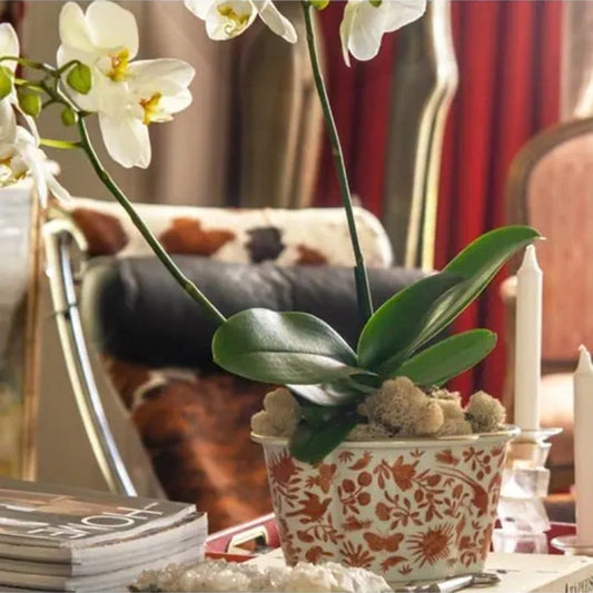 Sacred Bird & Butterfly Lobed Cachepot by Mottahedeh Additional Image -1