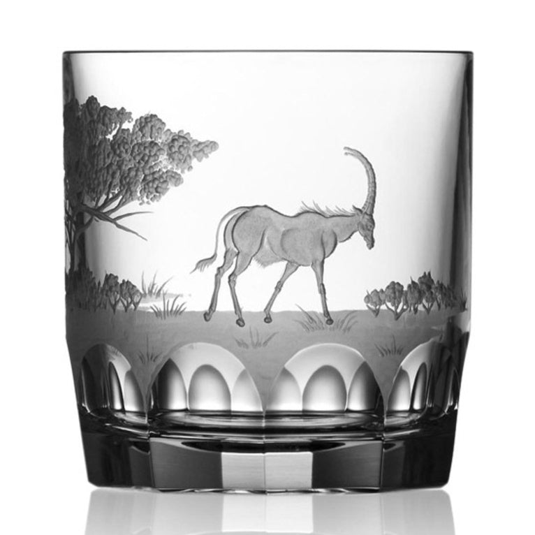 Safari Clear Double Old Fashioned Glass by Varga Crystal