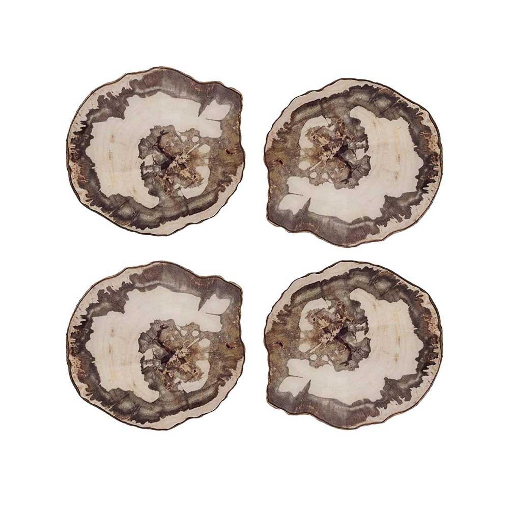 Petrified Wood Drink Coasters in Natural & Brown, Set of 4 in a Gift Box by Kim Seybert