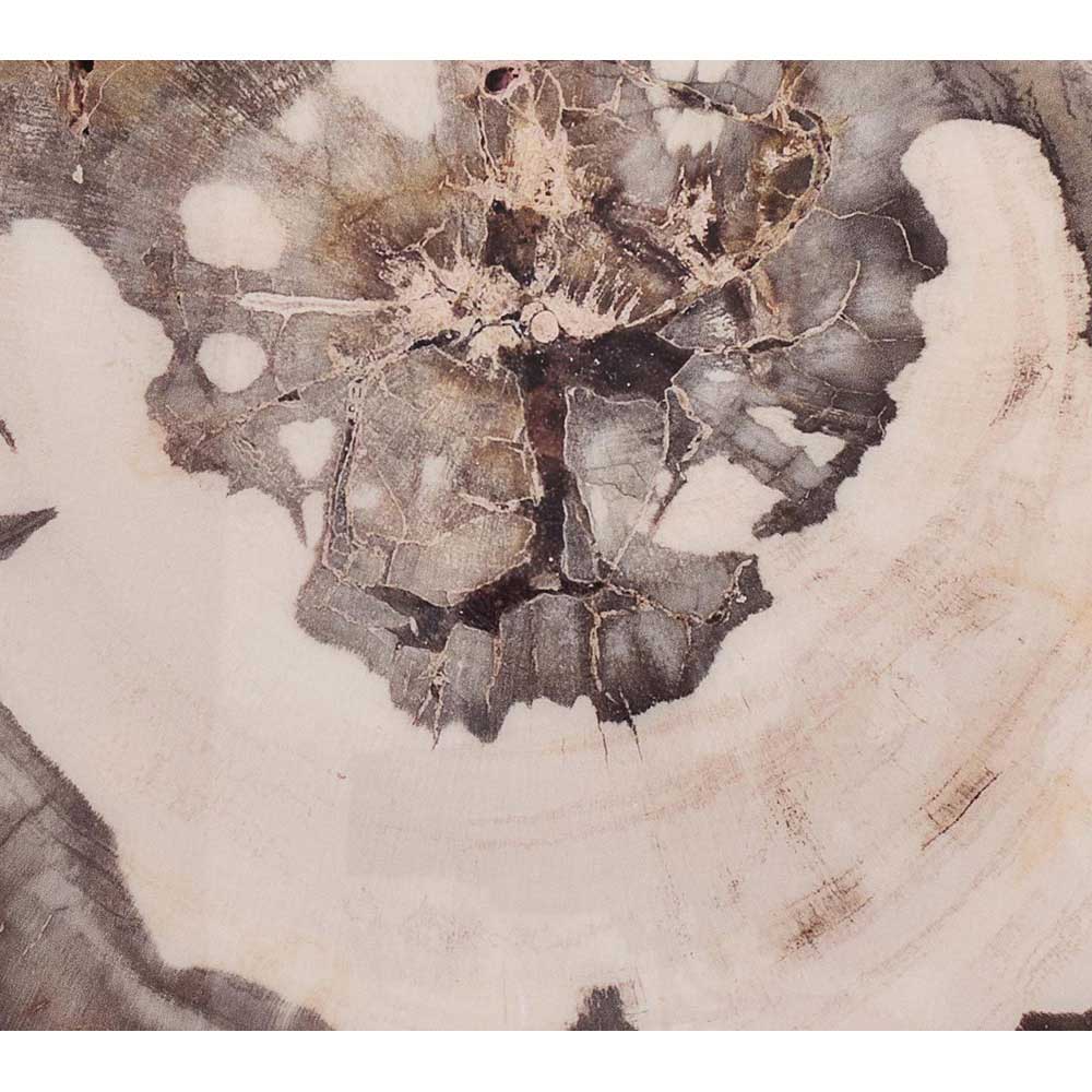 Petrified Wood Drink Coasters in Natural & Brown, Set of 4 in a Gift Box by Kim Seybert Additional Image - 2