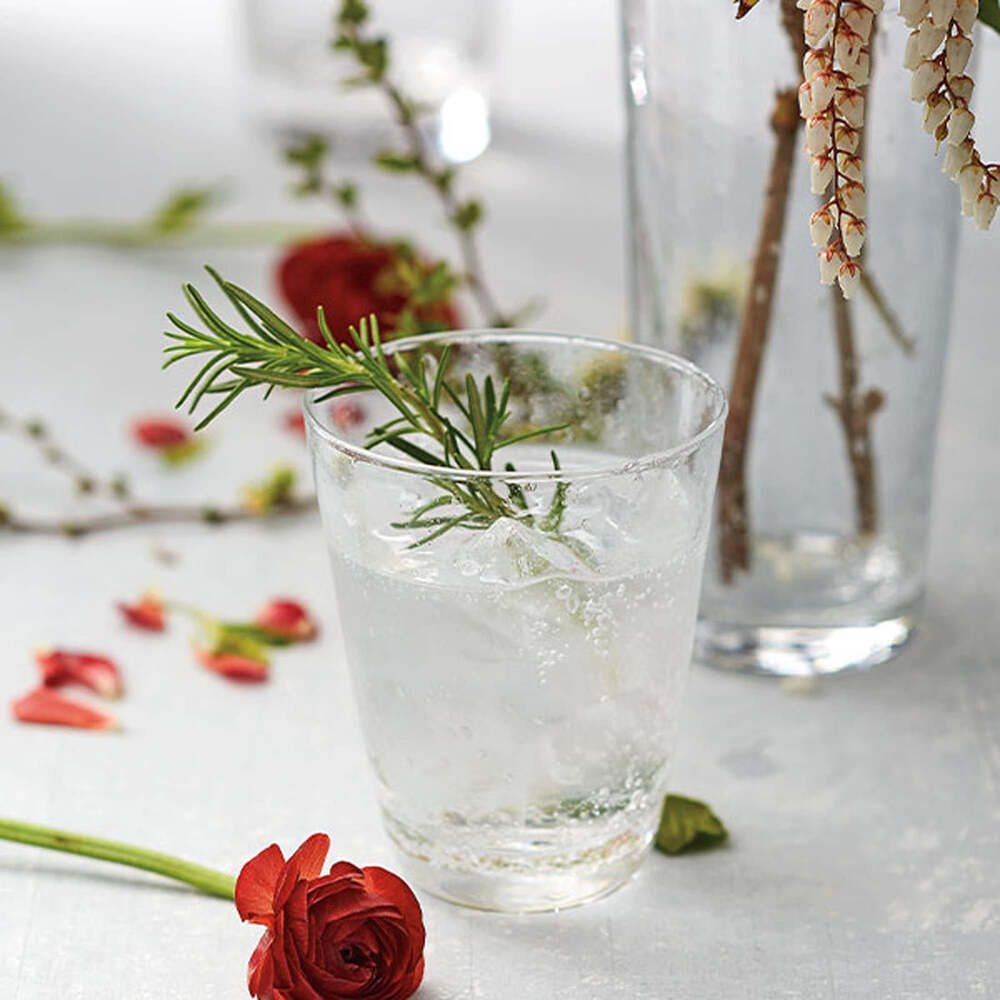 Bellini Tumbler Glass by Mariposa Additional Image-4