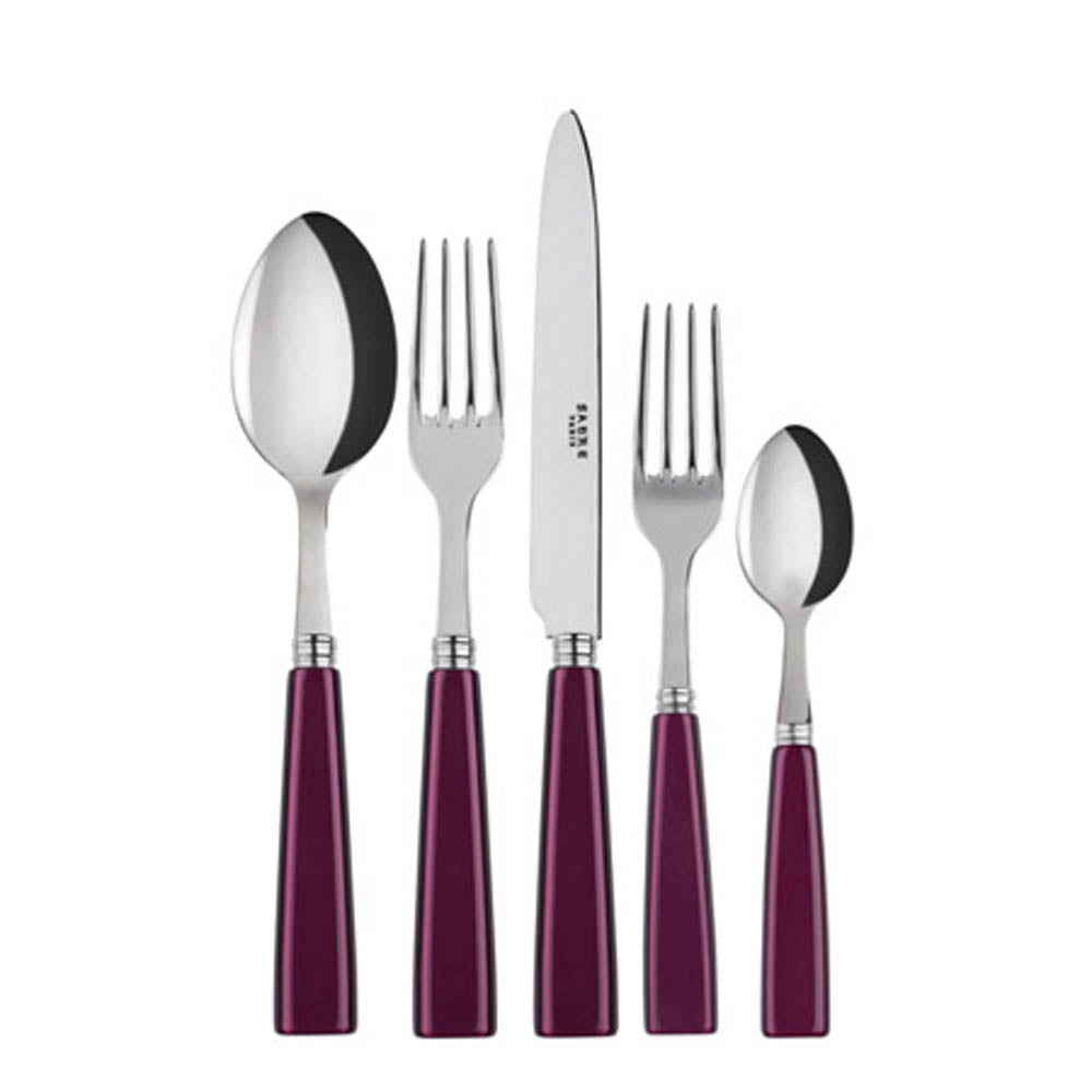 Icone (a.k.a. Natura) 5-piece Place Setting by Sabre Paris