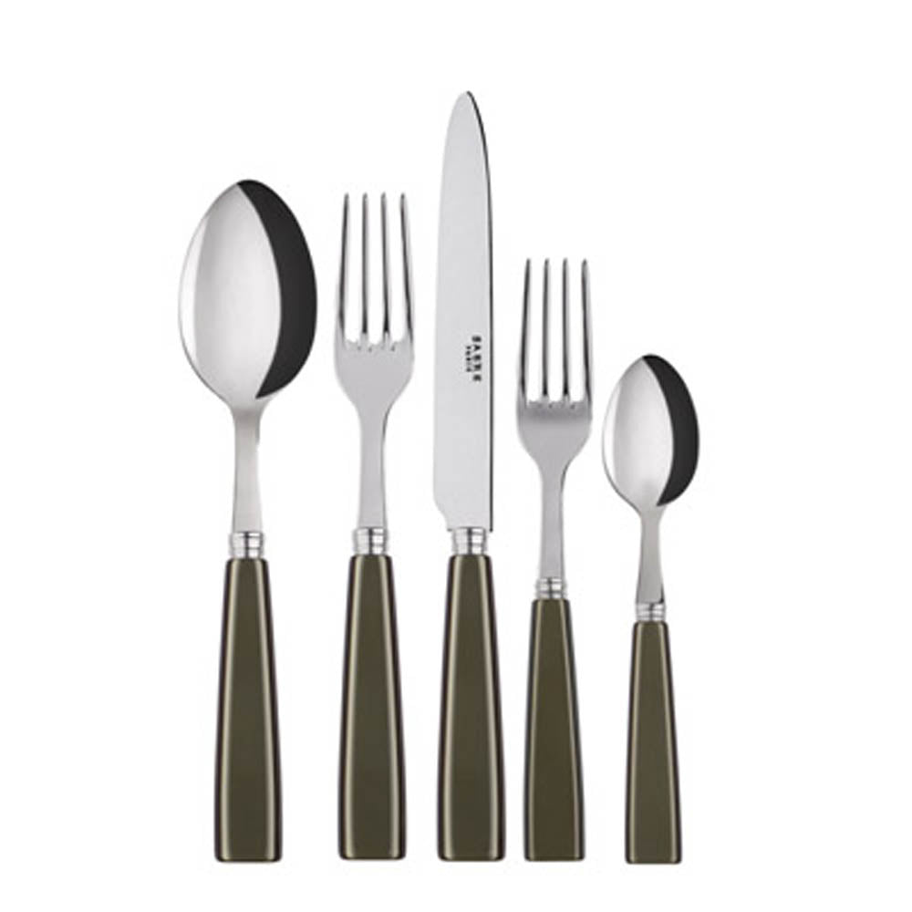 Icone (a.k.a. Natura) 5-piece Place Setting by Sabre Paris