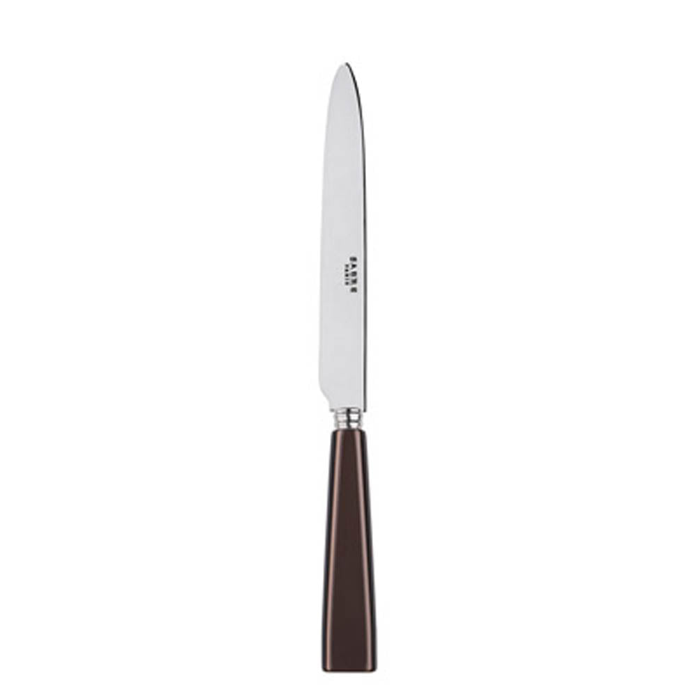 Icone (a.k.a. Natura) Dinner Knife by Sabre Paris