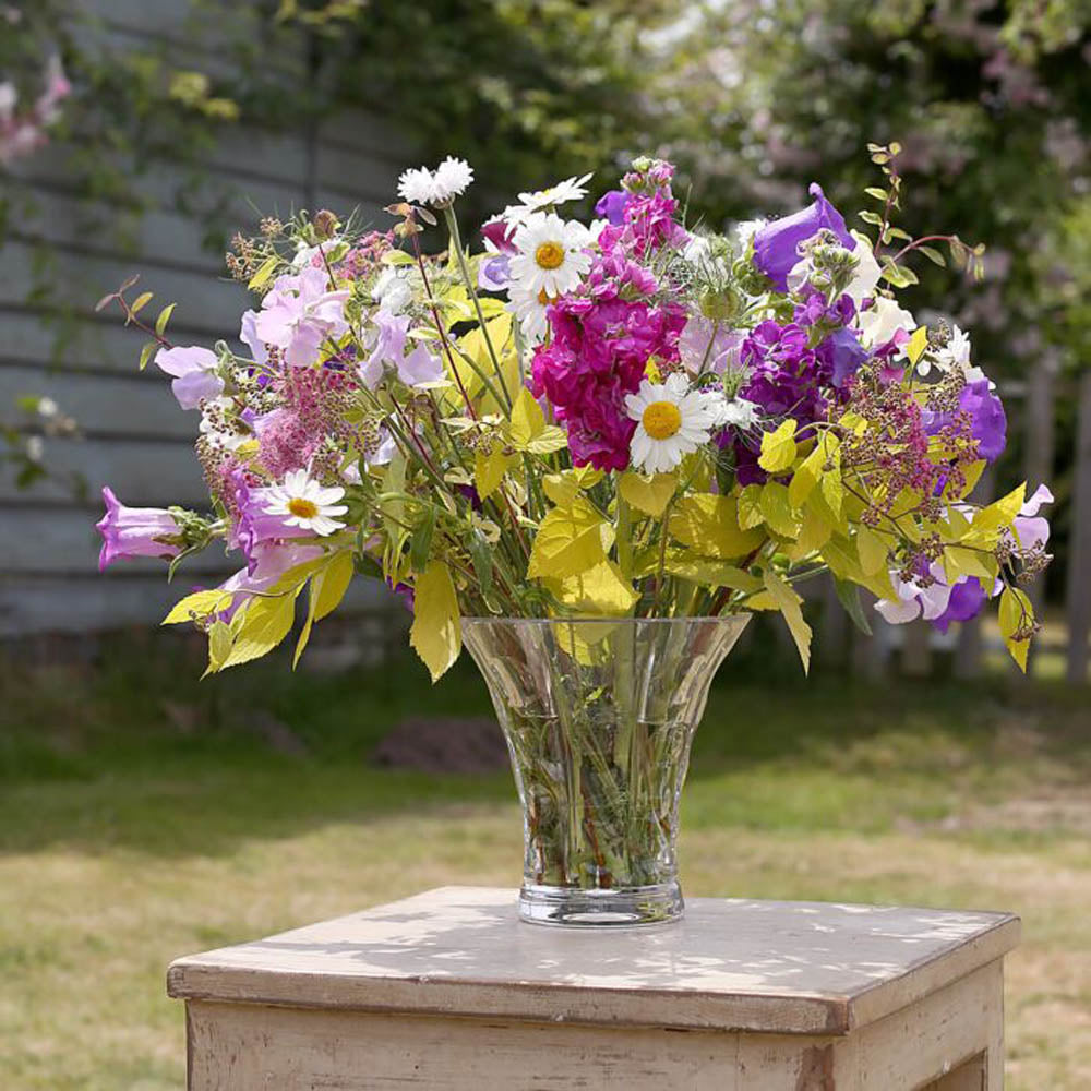 Odette Conversation Vase (6.50"/16.50cm) by William Yeoward Crystal Additional Image - 2