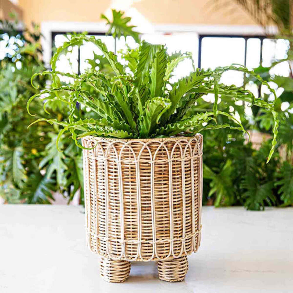 Provence Rattan 8" Round Planter - Whitewash by Juliska Additional Image-2