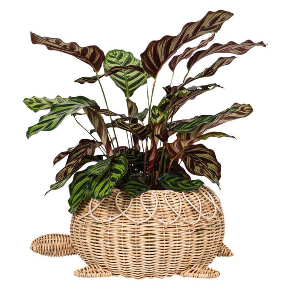 Provence Rattan Turtle Bowl - Whitewash by Juliska Additional Image-1