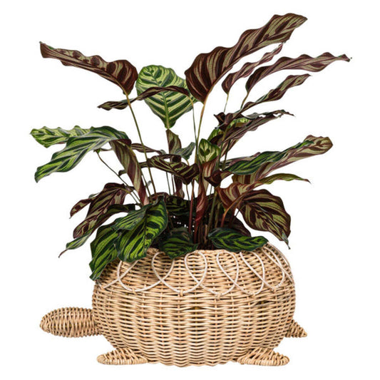Provence Rattan Turtle Bowl - Whitewash by Juliska Additional Image-1