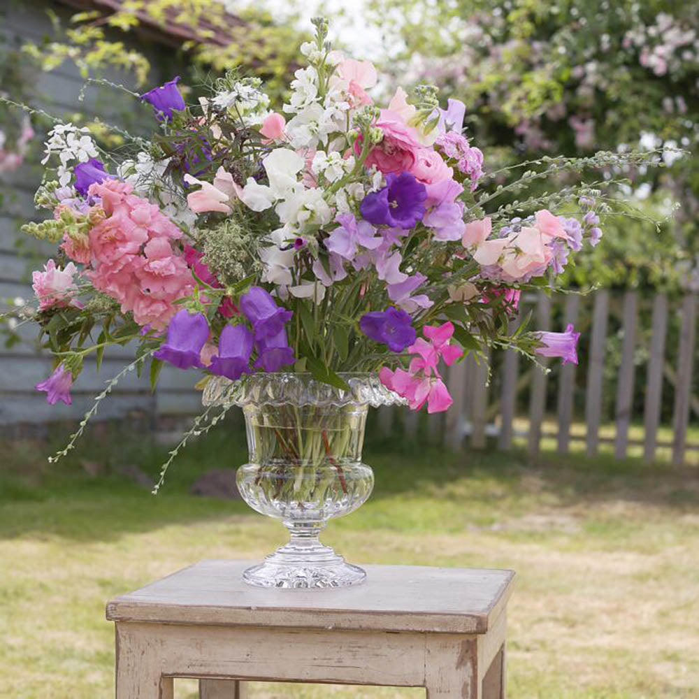 Suzanne 8.5" Vase by William Yeoward Crystal Additional Image - 5