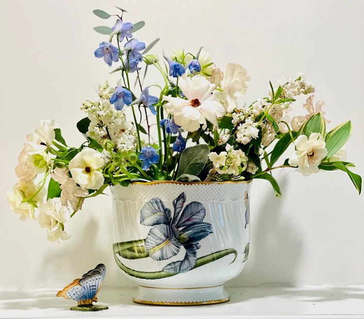 Anna Weatherley Hand Painted