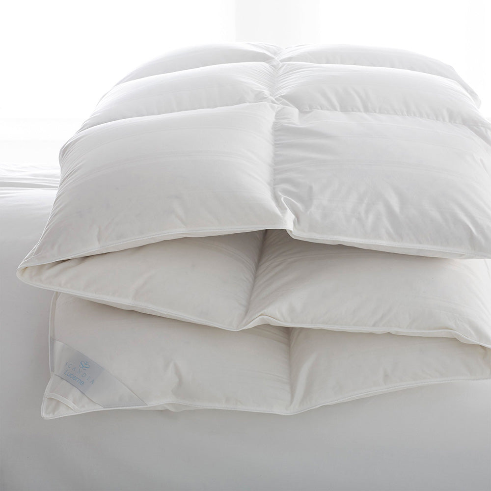 Scandia Home Lucerne down collection