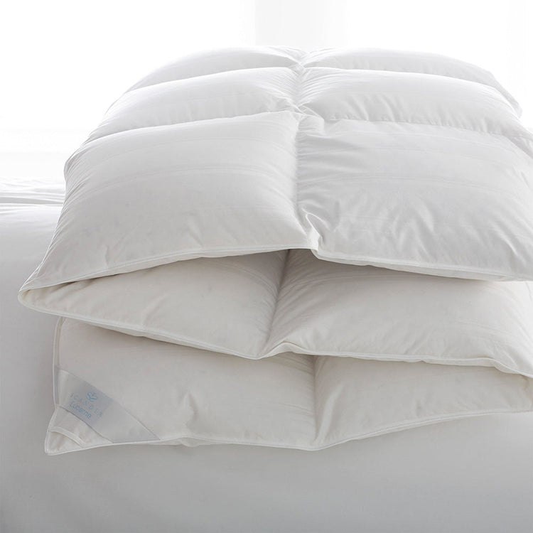 Scandia Home Lucerne down collection