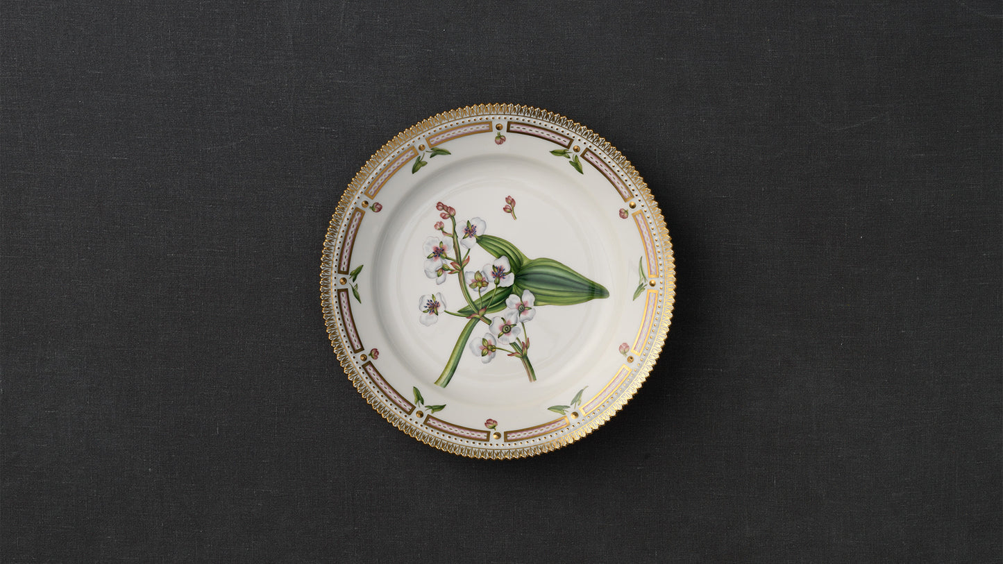 Flora Danica Plate, 22 cm by Royal Copenhagen