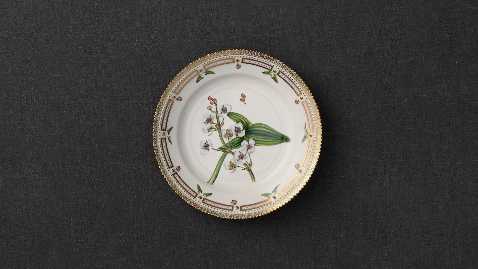Flora Danica Plate, 22 cm by Royal Copenhagen