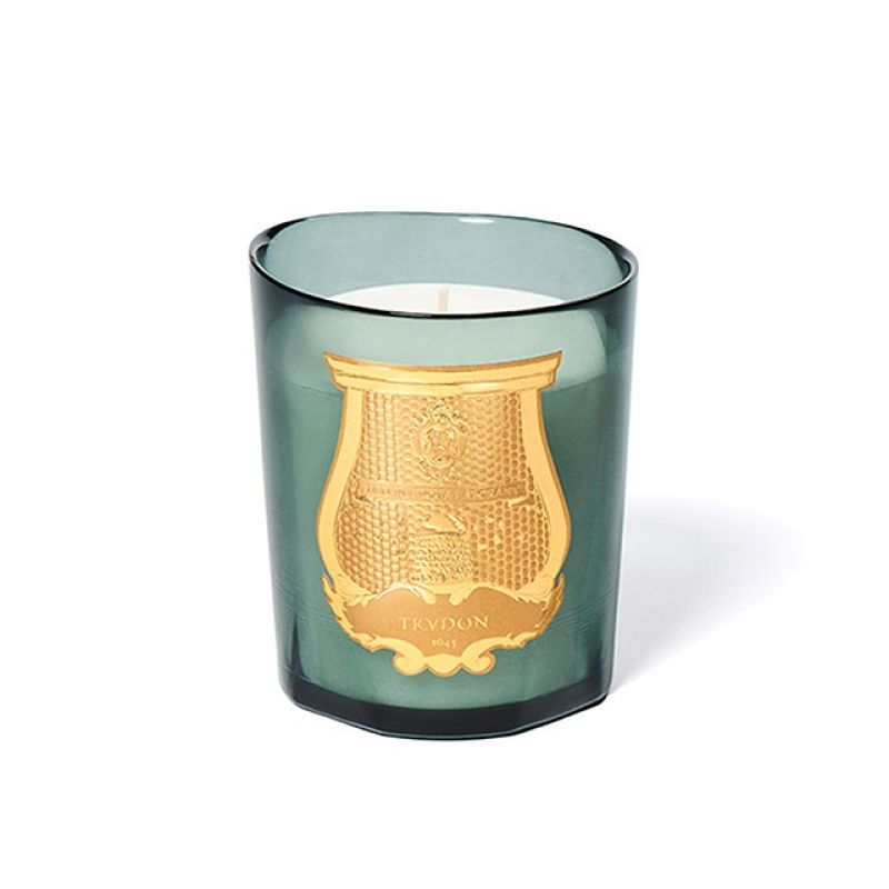 Trudon Figuerie Classic Candle 270g in celadon mouth-blown Tuscan glass