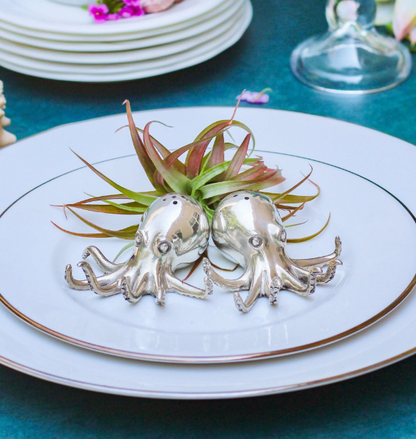 Octopus Salt & Pepper Set