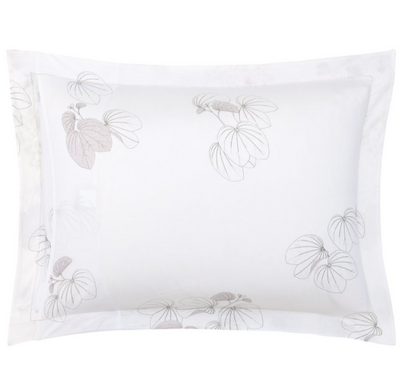 Orchidee Standard Sham