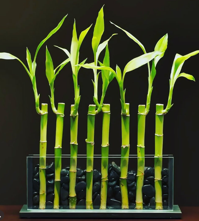 Timeless Vase - Vertical (Small) by White Stable Farms