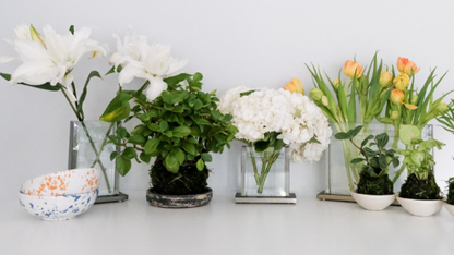 Timeless Vase - Square by White Stable Farms