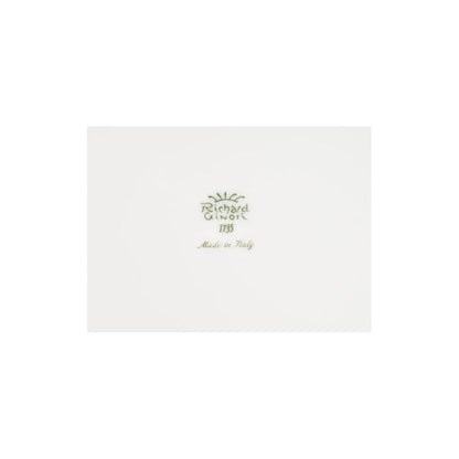 Antico Doccia Oval Platter 15" by Richard Ginori 4