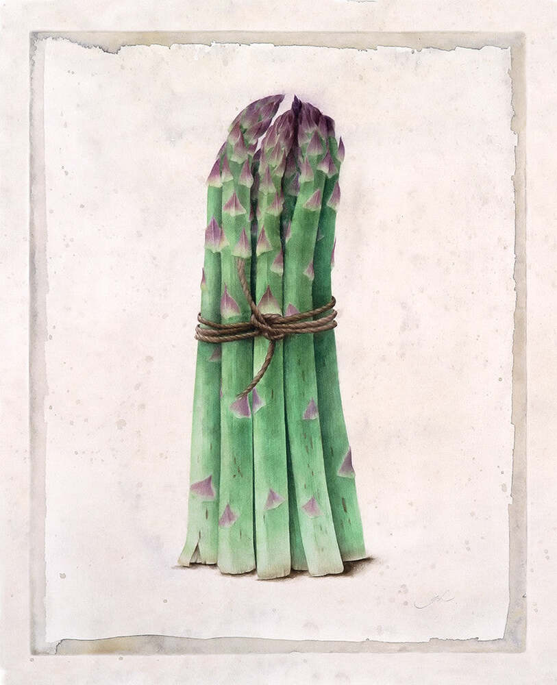 Asparagus - Gertrude Hamilton by Tiger Flower Studio Additional Image -