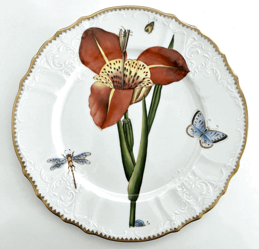 BAF12 - Botanical Art Dinner Plate by Anna Weatherley