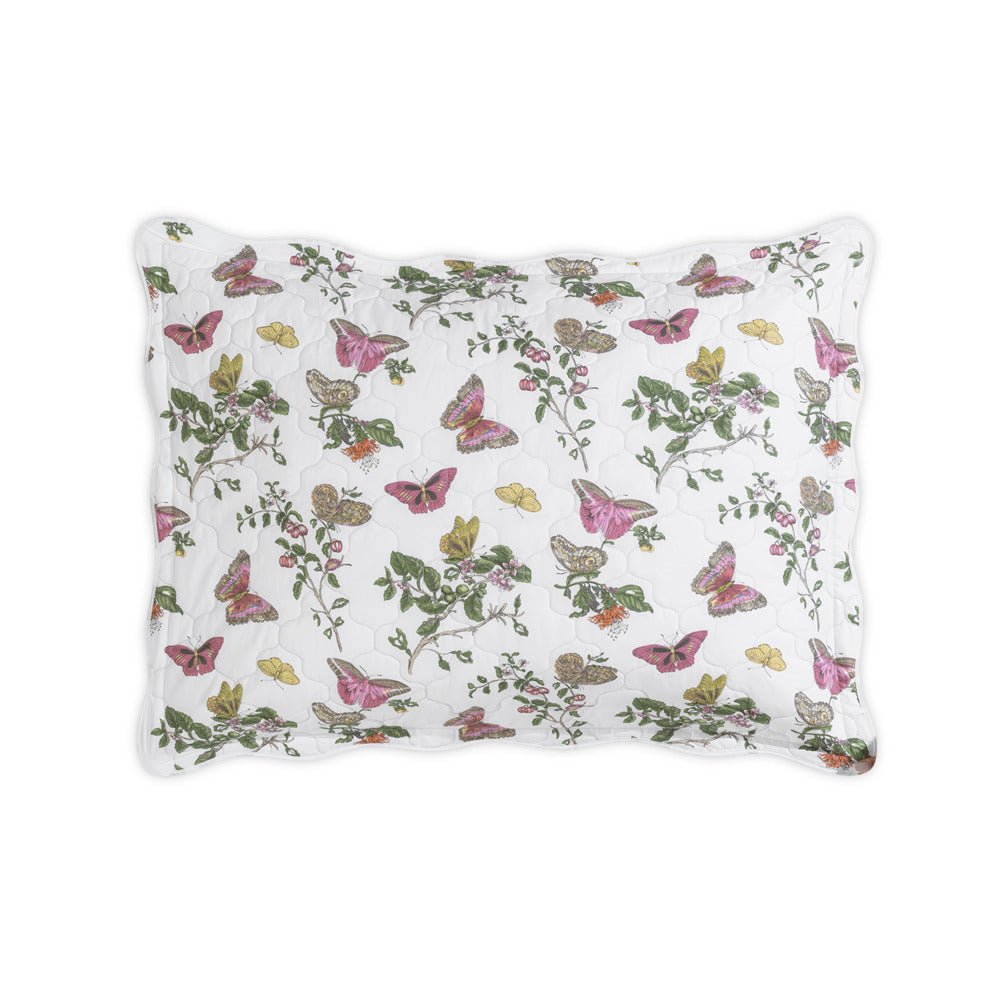 Baudin Butterfly Sham Pink Quilted Standard 