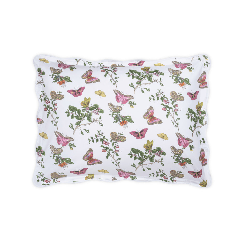 Baudin Butterfly Sham