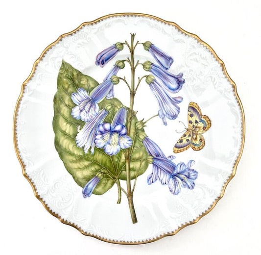 BBF12 - Botanical Art Dinner Plate by Anna Weatherley