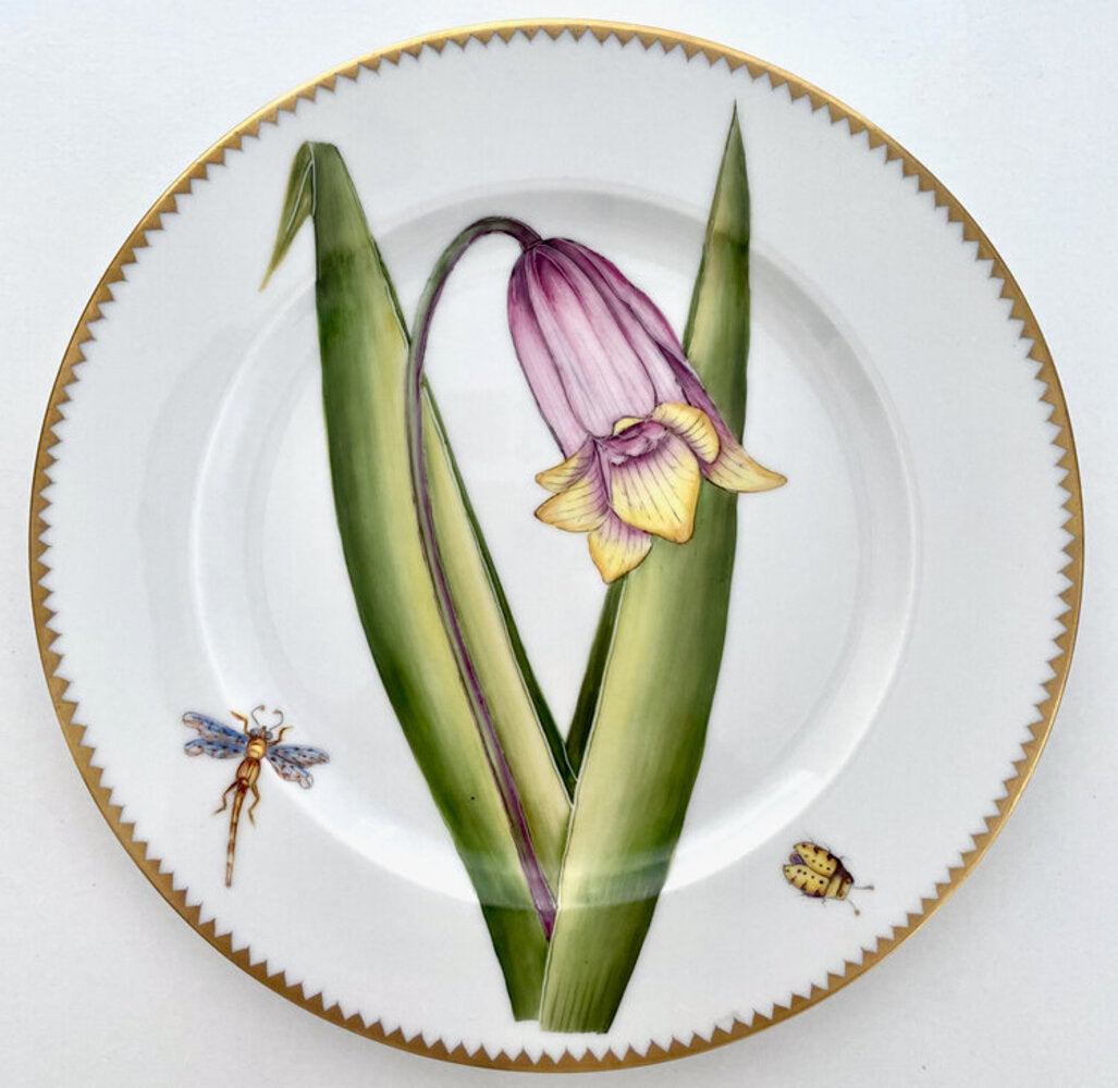 BP10 - Salad/Dessert Plate by Anna Weatherley