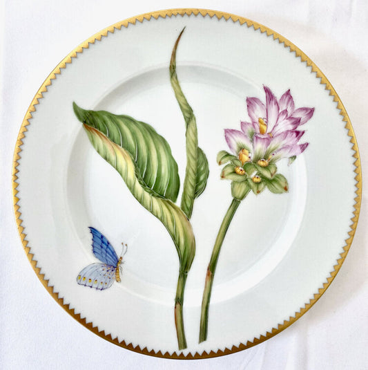 BP12 - Salad/Dessert Plate by Anna Weatherley