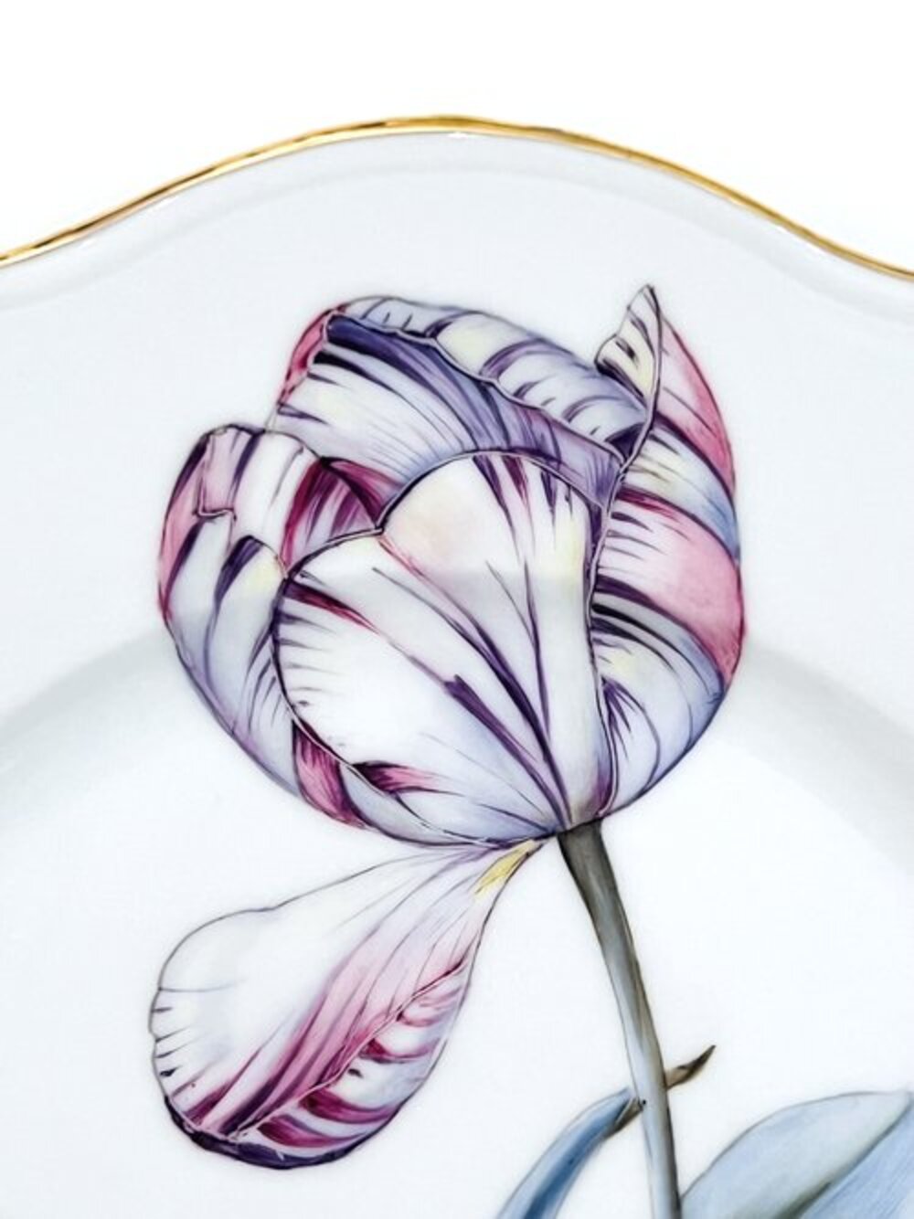 BR2 - Botanical Treasures Collection Dinner Plate by Anna Weatherley 1