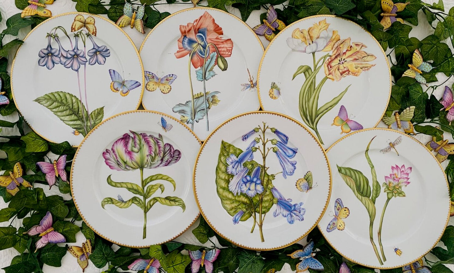 BS1 - Botanical Art Dinner Plate by Anna Weatherley 4