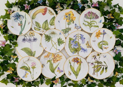 BS2 - Botanical Art Dinner Plate by Anna Weatherley 3